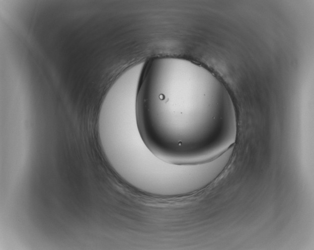 X0000112540017200908241536