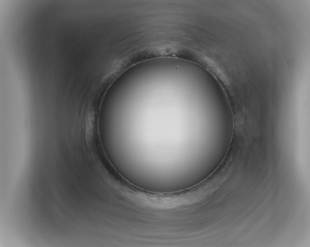 X0000112540018200908241536
