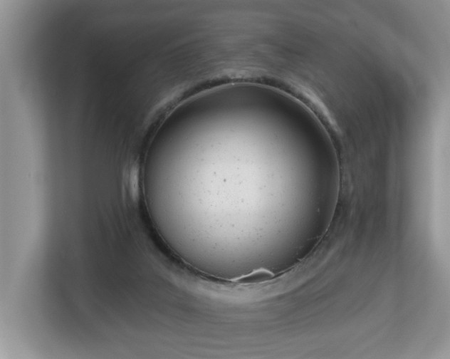 X0000112540019200908241536