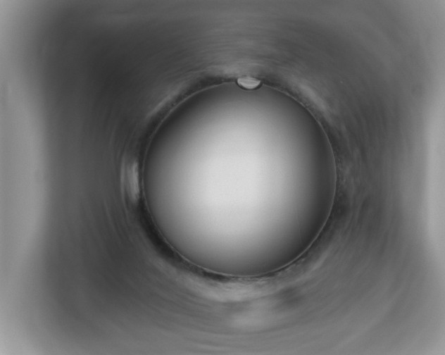 X0000112540020200908241536