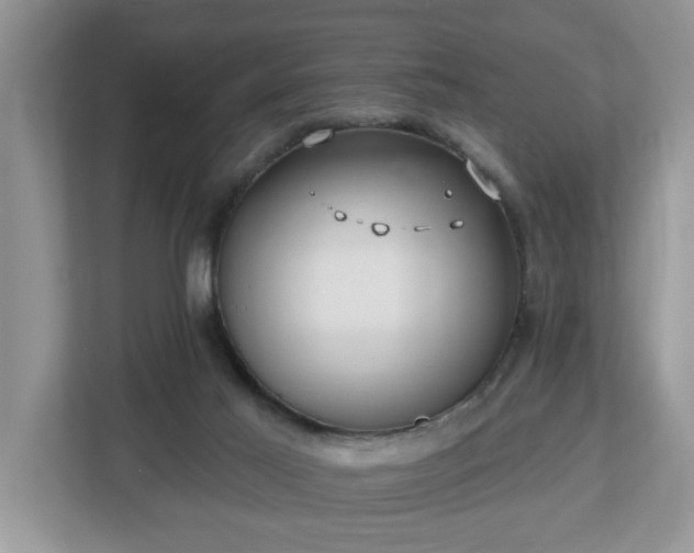 X0000112540021200908241536