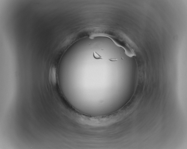 X0000112540022200908241536