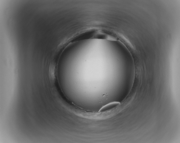 X0000112540023200908241536