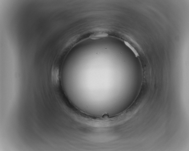 X0000112540024200908241536