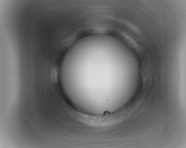 X0000112540026200908241536