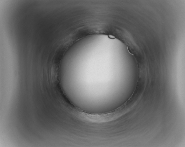 X0000112540030200908241536
