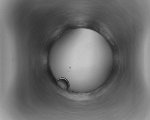 X0000112540032200908241536