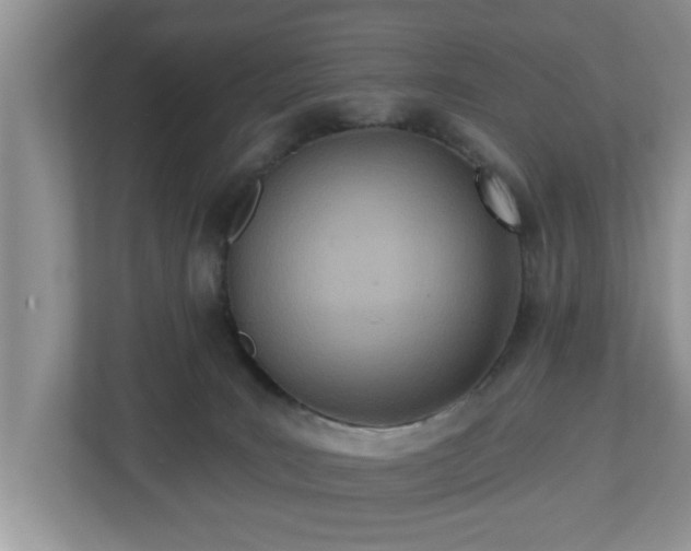 X0000112540035200908241536