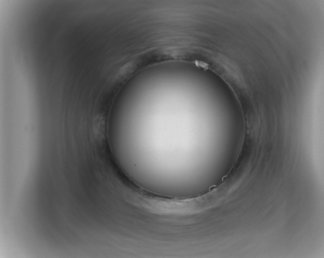 X0000112540036200908241536
