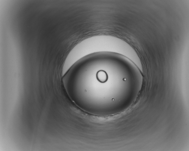 X0000112540037200908241536