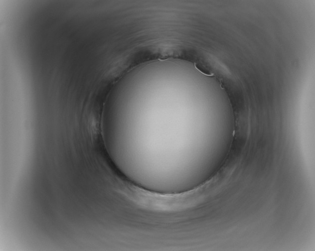 X0000112540039200908241536