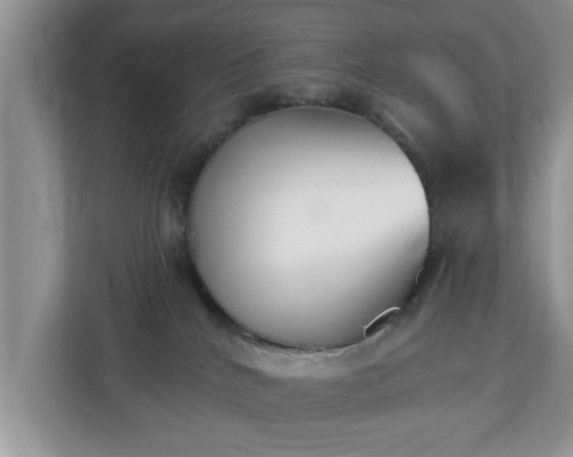 X0000112540040200908241536