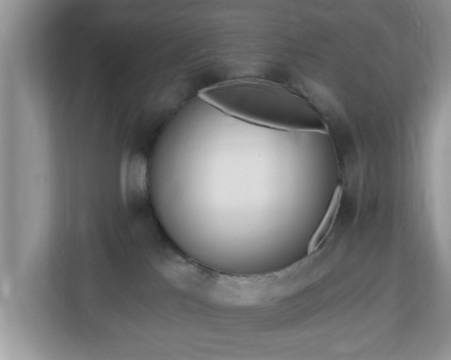 X0000112540041200908241536