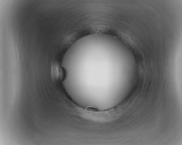 X0000112540042200908241536
