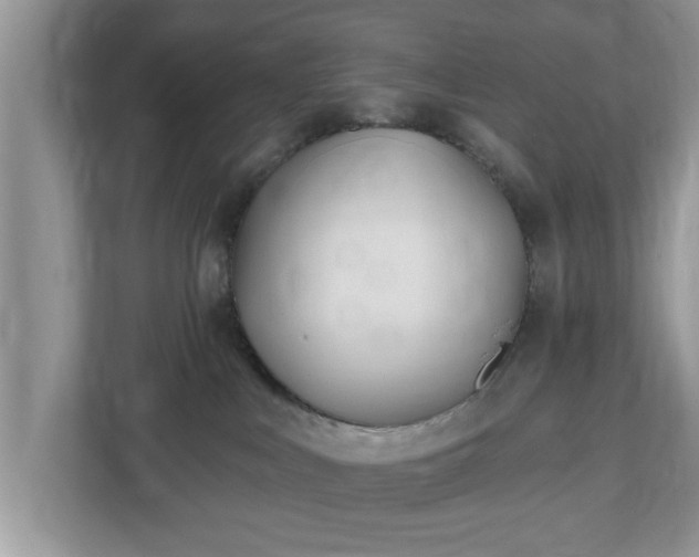 X0000112540043200908241535