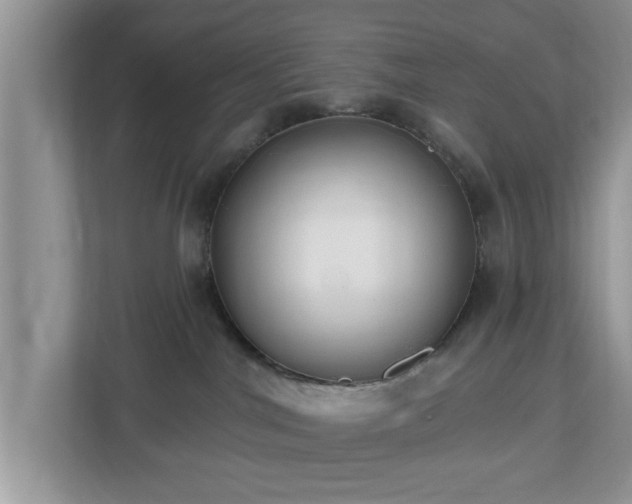 X0000112540044200908241535