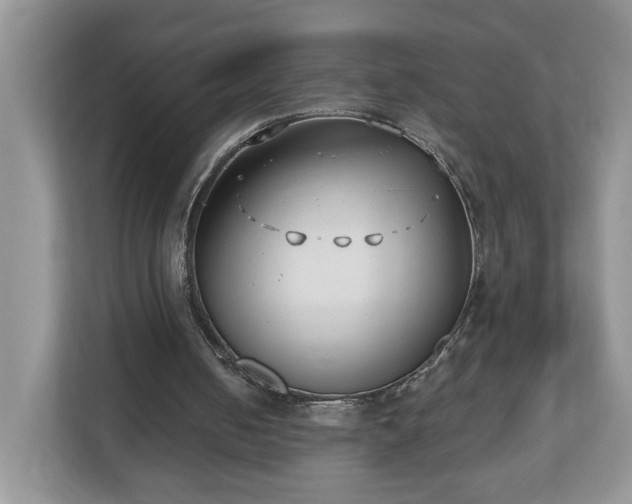 X0000112540050200908241535