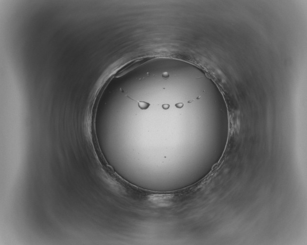 X0000112540051200908241535