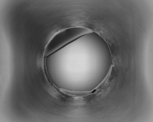 X0000112540052200908241535