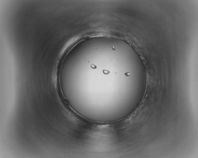 X0000112540054200908241535