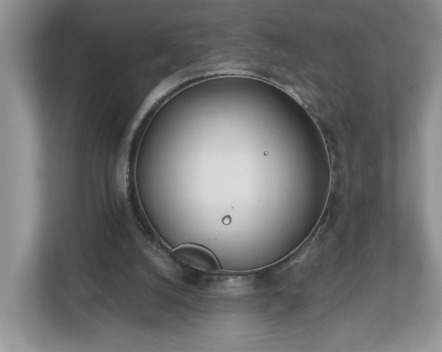 X0000112540056200908241535