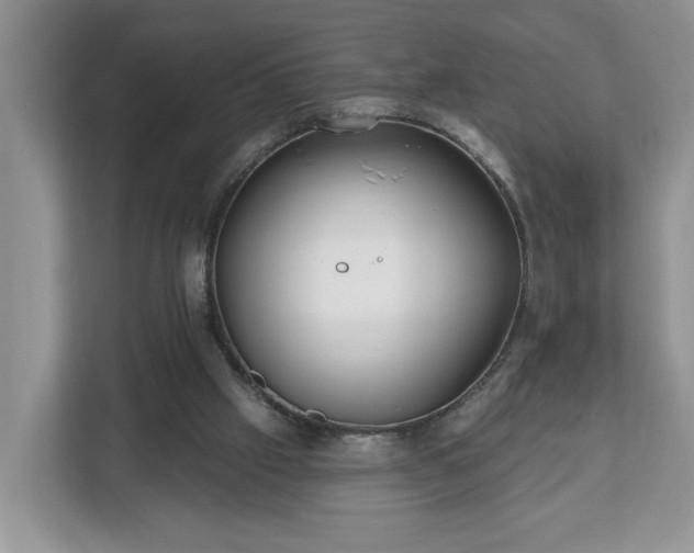 X0000112540057200908241535