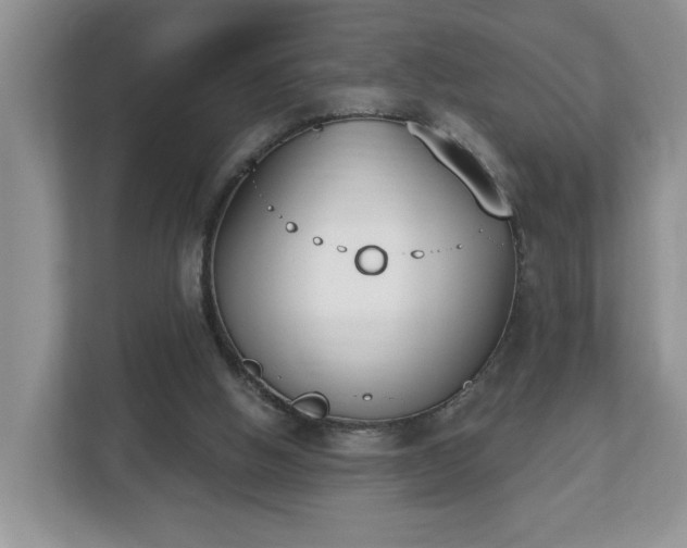 X0000112540058200908241535
