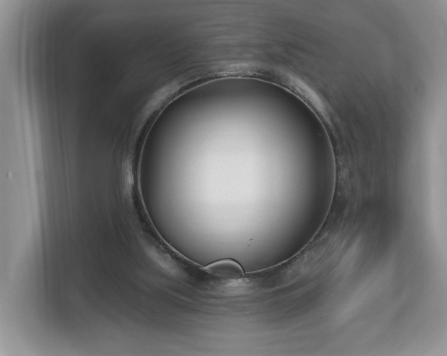 X0000112540059200908241535