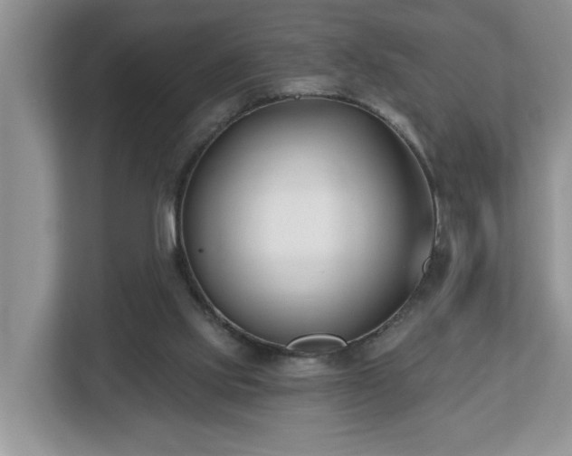 X0000112540061200908241535