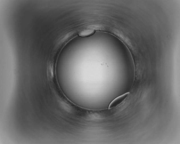X0000112540062200908241535