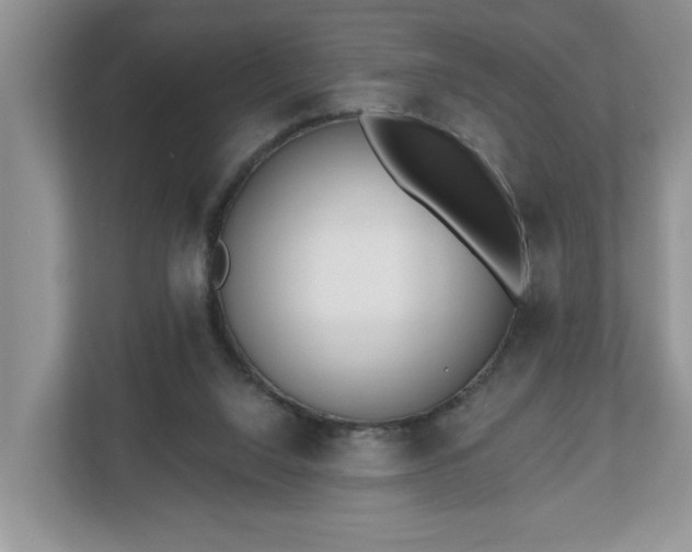 X0000112540064200908241535