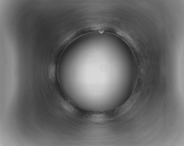 X0000112540066200908241535