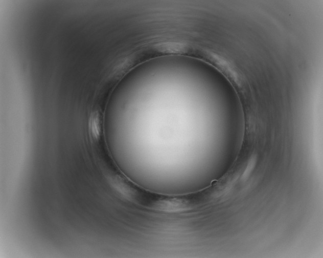 X0000112540069200908241535