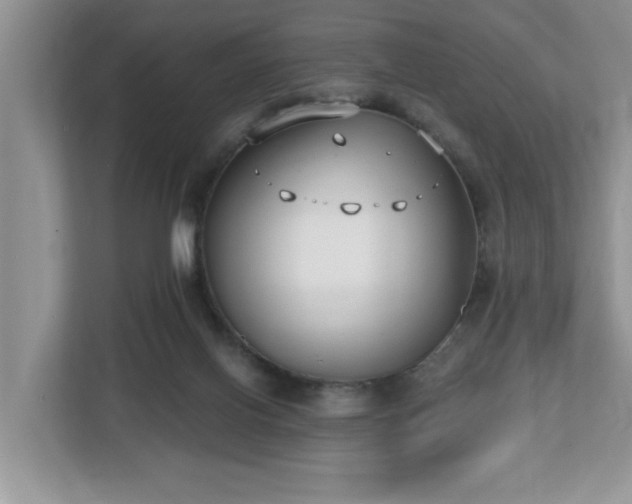 X0000112540070200908241535