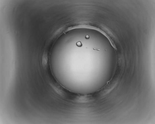 X0000112540072200908241535