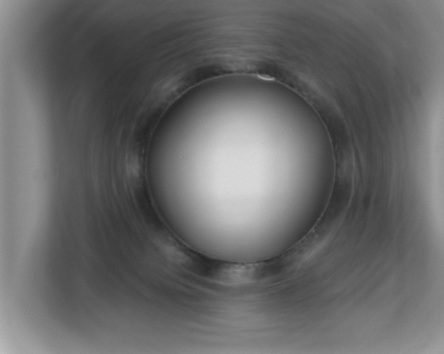 X0000112540084200908241535