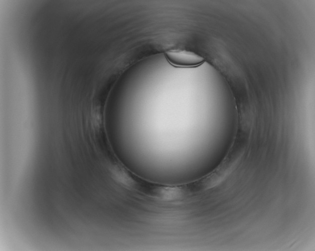 X0000112540085200908241535