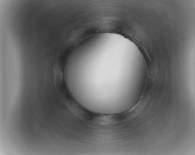 X0000112540086200908241535