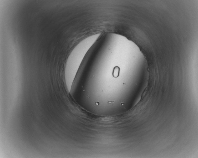 X0000112540088200908241535