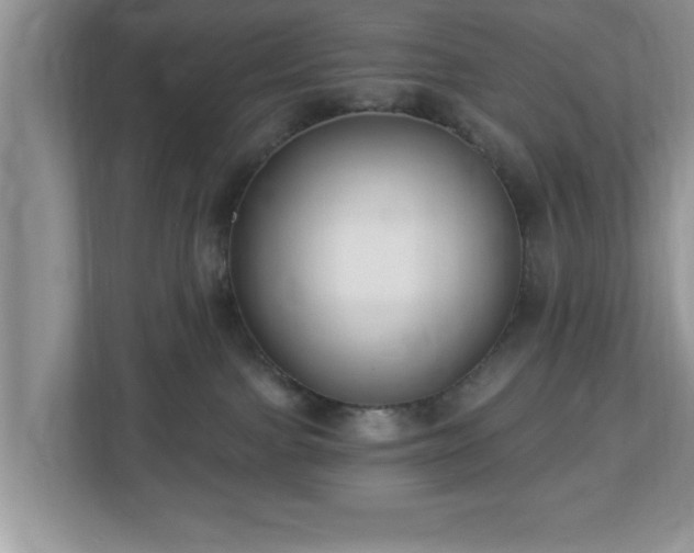 X0000112540091200908241535