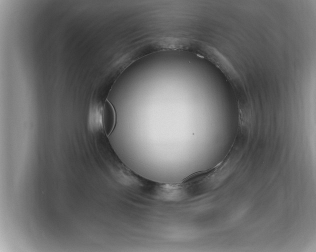 X0000112540095200908241535