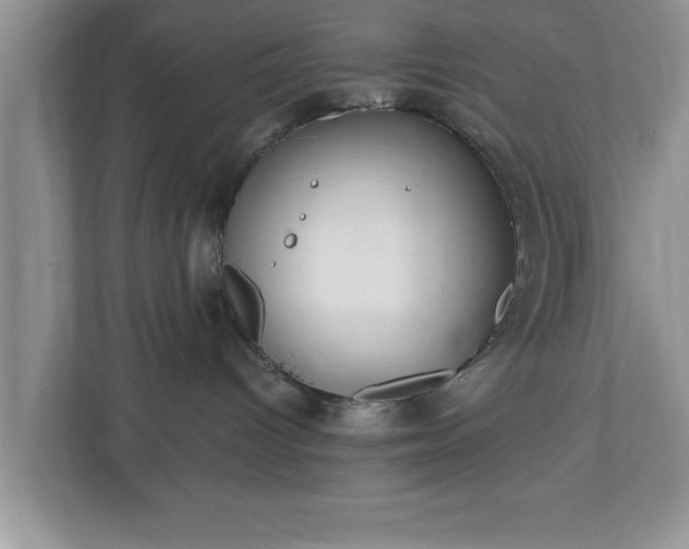 X0000112540096200908241535