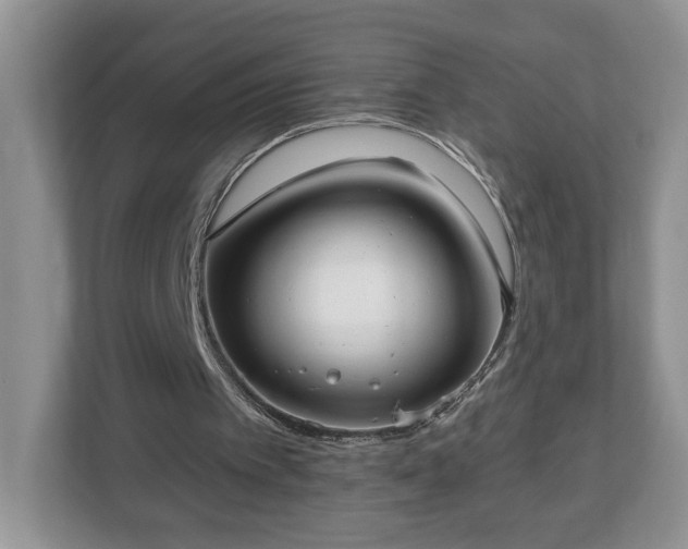 X0000112540097200908241535