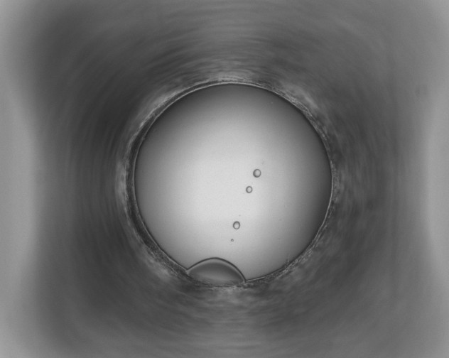 X0000112540098200908241535