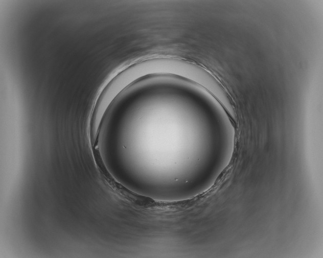 X0000112540100200908241535