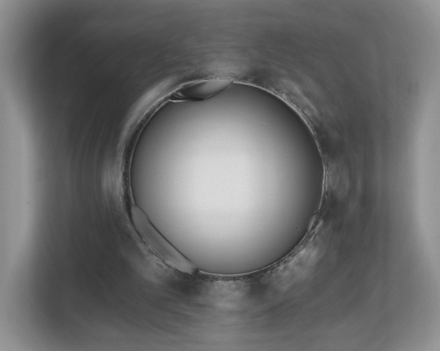 X0000112540101200908241535