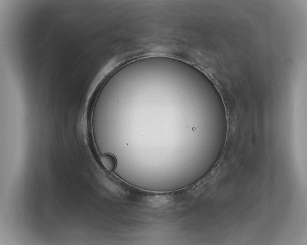 X0000112540102200908241535