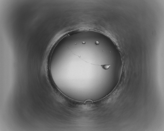 X0000112540103200908241535