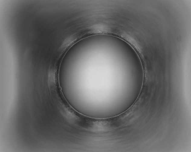 X0000112540105200908241535