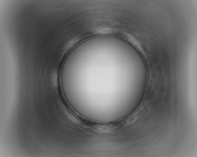 X0000112540106200908241535